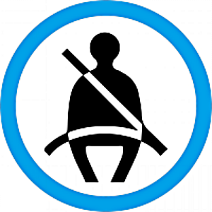 Seatbelts