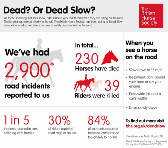 Horse rider stats